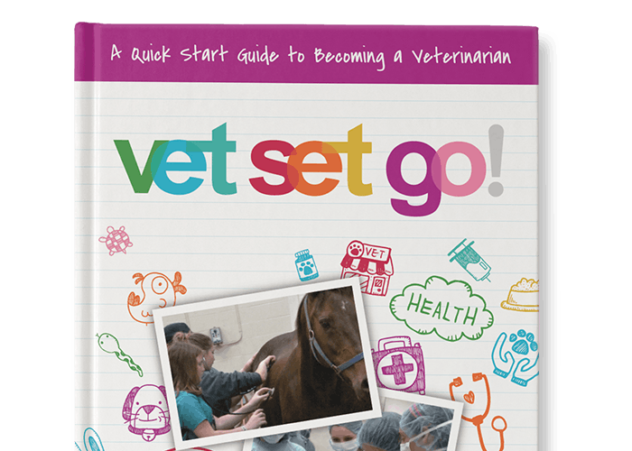 veterinarian games for teens